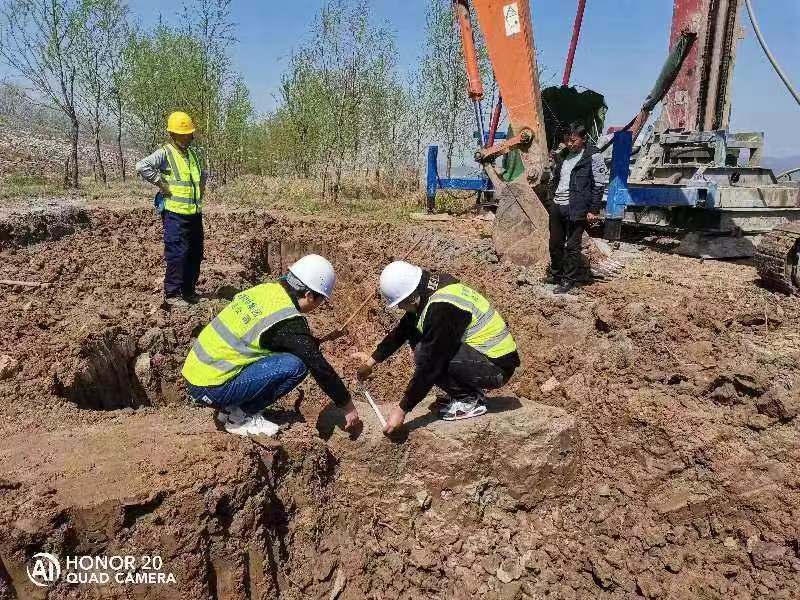 水利項目水泥水泥樁試樁完整性檢測